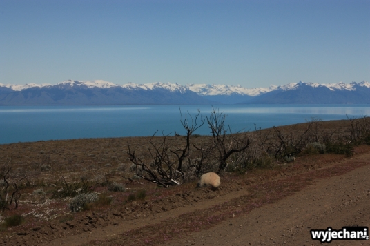 01 po drugiej stronie jeziora Lago Argentino