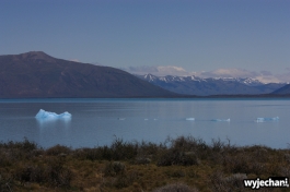 03 po drugiej stronie jeziora Lago Argentino